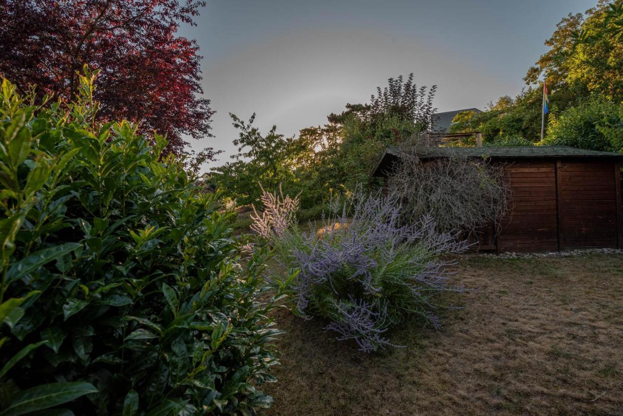 Ferienhaus Bis 10 Personen Und 2,5 Schlafzimmern Apartman Geisenheim Kültér fotó