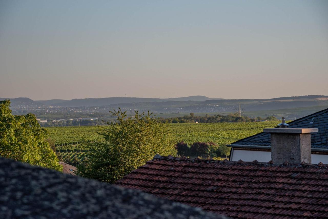 Ferienhaus Bis 10 Personen Und 2,5 Schlafzimmern Apartman Geisenheim Kültér fotó